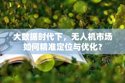 大数据时代下，无人机市场如何精准定位与优化？
