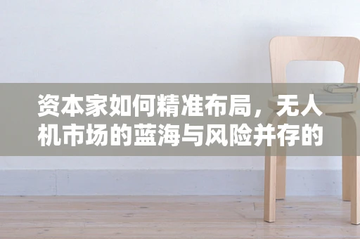 资本家如何精准布局，无人机市场的蓝海与风险并存的未来？