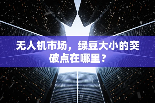 无人机市场，绿豆大小的突破点在哪里？