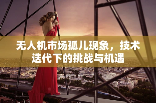无人机市场孤儿现象，技术迭代下的挑战与机遇