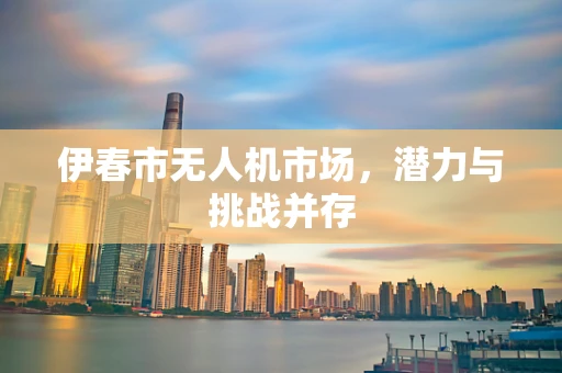 伊春市无人机市场，潜力与挑战并存