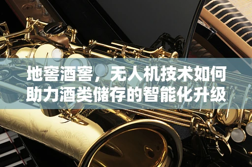 地窖酒窖，无人机技术如何助力酒类储存的智能化升级？