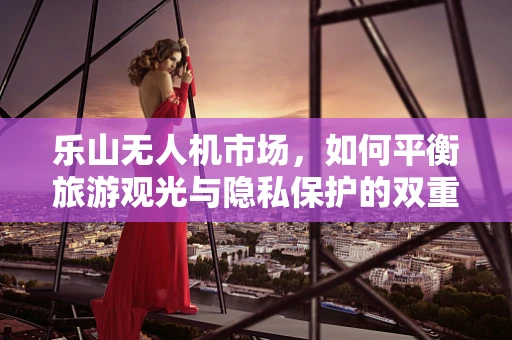 乐山无人机市场，如何平衡旅游观光与隐私保护的双重需求？