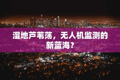 湿地芦苇荡，无人机监测的新蓝海？