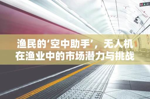 渔民的‘空中助手’，无人机在渔业中的市场潜力与挑战？