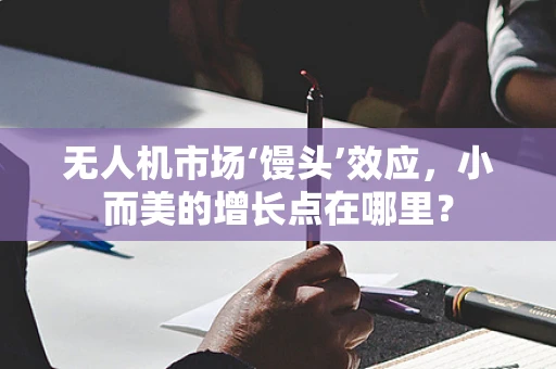 无人机市场‘馒头’效应，小而美的增长点在哪里？