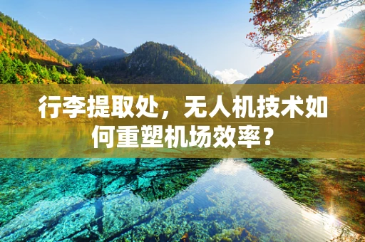 行李提取处，无人机技术如何重塑机场效率？