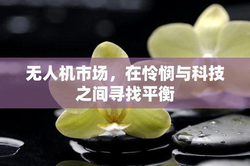 无人机市场，在怜悯与科技之间寻找平衡