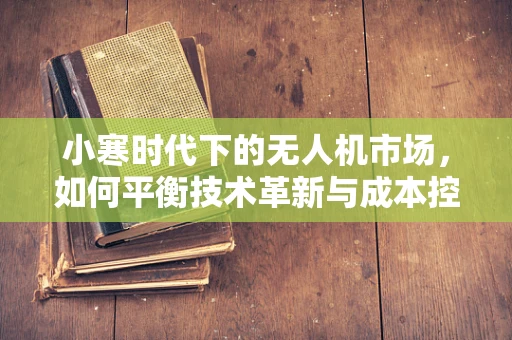小寒时代下的无人机市场，如何平衡技术革新与成本控制？