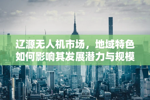 辽源无人机市场，地域特色如何影响其发展潜力与规模？