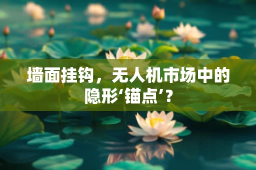 墙面挂钩，无人机市场中的隐形‘锚点’？