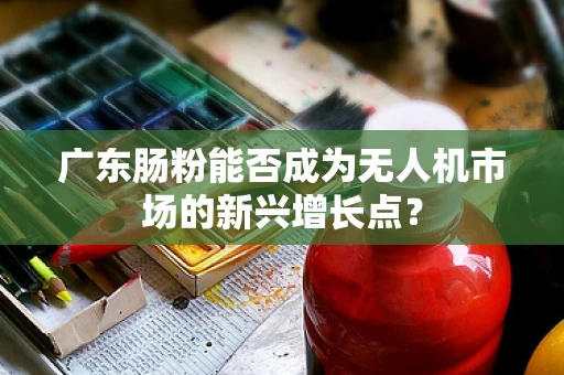 广东肠粉能否成为无人机市场的新兴增长点？