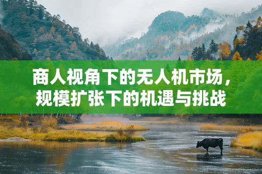 商人视角下的无人机市场，规模扩张下的机遇与挑战
