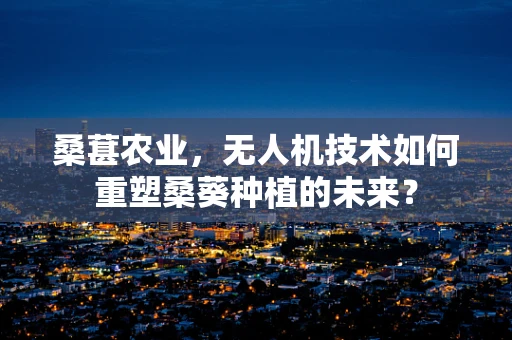 桑葚农业，无人机技术如何重塑桑葵种植的未来？