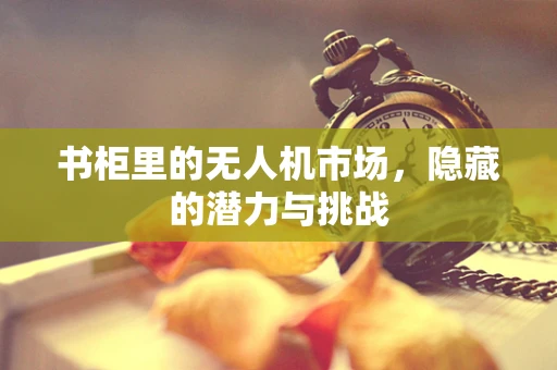 书柜里的无人机市场，隐藏的潜力与挑战