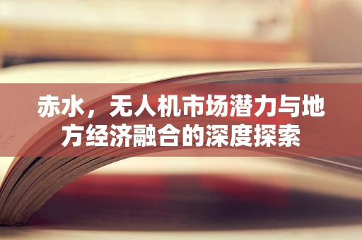 赤水，无人机市场潜力与地方经济融合的深度探索