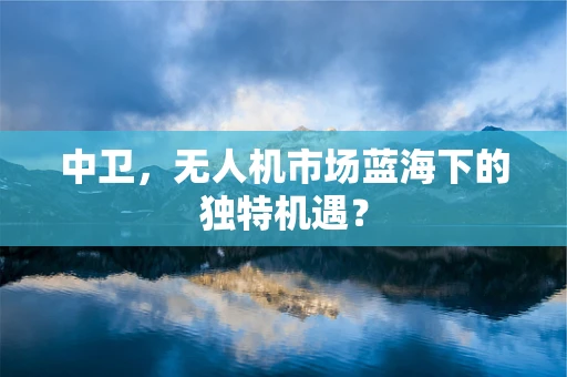 中卫，无人机市场蓝海下的独特机遇？