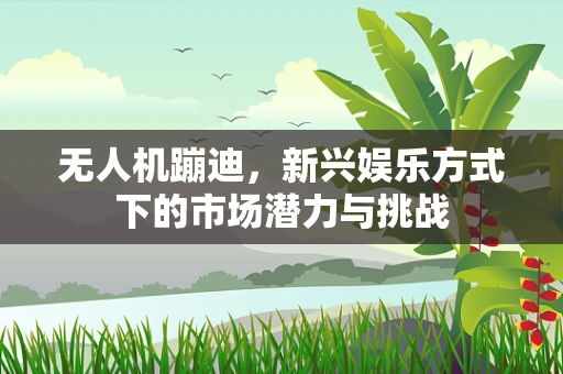 无人机蹦迪，新兴娱乐方式下的市场潜力与挑战