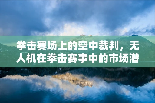 拳击赛场上的空中裁判，无人机在拳击赛事中的市场潜力与挑战