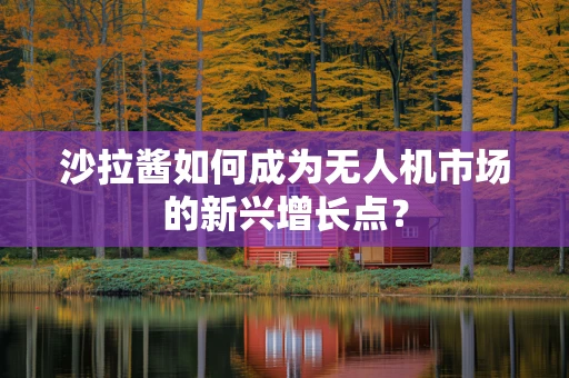 沙拉酱如何成为无人机市场的新兴增长点？