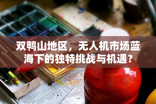 双鸭山地区，无人机市场蓝海下的独特挑战与机遇？