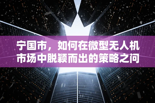 宁国市，如何在微型无人机市场中脱颖而出的策略之问？