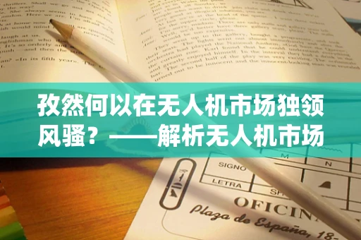 孜然何以在无人机市场独领风骚？——解析无人机市场中的非传统调料之谜