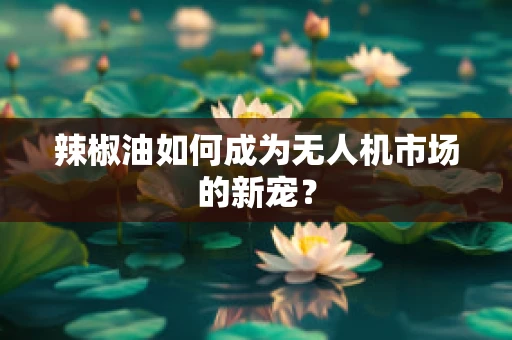 辣椒油如何成为无人机市场的新宠？