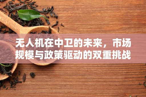 无人机在中卫的未来，市场规模与政策驱动的双重挑战？