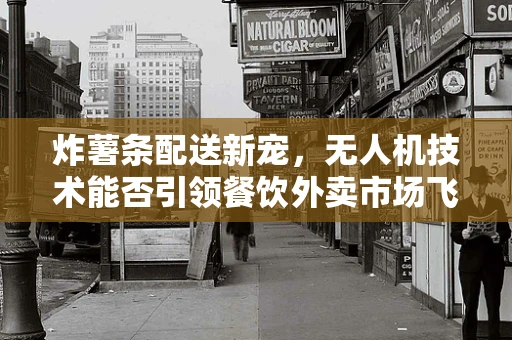 炸薯条配送新宠，无人机技术能否引领餐饮外卖市场飞起来？