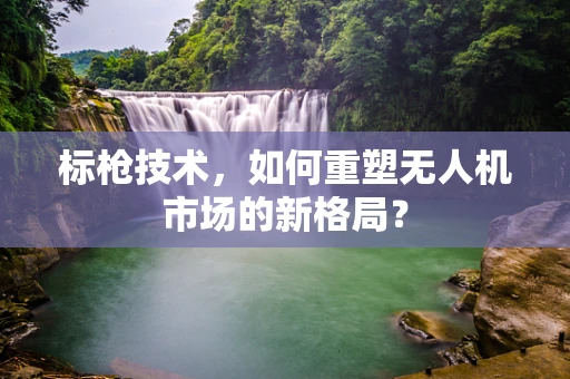 标枪技术，如何重塑无人机市场的新格局？