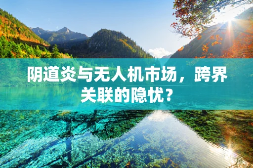 阴道炎与无人机市场，跨界关联的隐忧？
