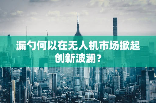 漏勺何以在无人机市场掀起创新波澜？