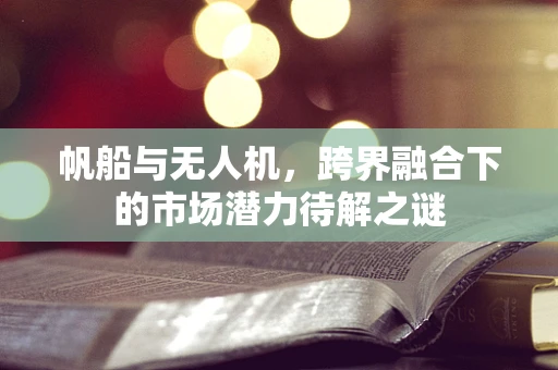 帆船与无人机，跨界融合下的市场潜力待解之谜