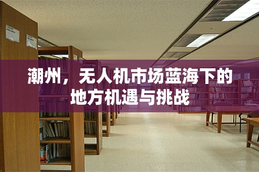 潮州，无人机市场蓝海下的地方机遇与挑战