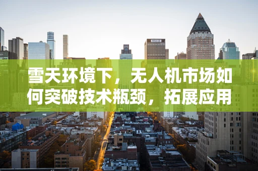 雪天环境下，无人机市场如何突破技术瓶颈，拓展应用领域？