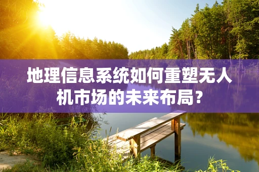 地理信息系统如何重塑无人机市场的未来布局？