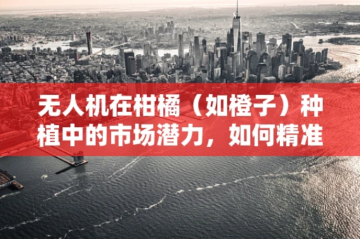 无人机在柑橘（如橙子）种植中的市场潜力，如何精准作业以提升果实品质？