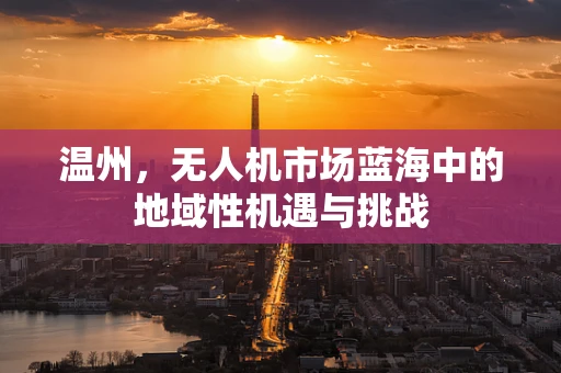 温州，无人机市场蓝海中的地域性机遇与挑战