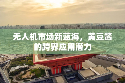 无人机市场新蓝海，黄豆酱的跨界应用潜力