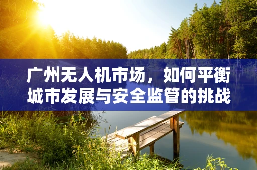 广州无人机市场，如何平衡城市发展与安全监管的挑战？