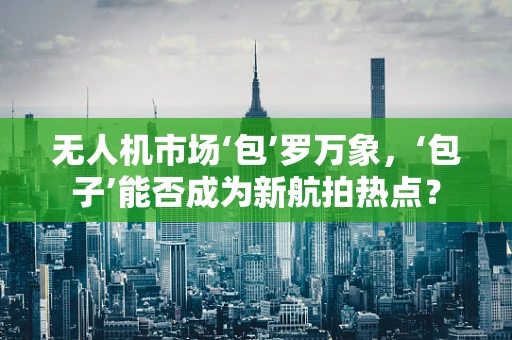 无人机市场‘包’罗万象，‘包子’能否成为新航拍热点？