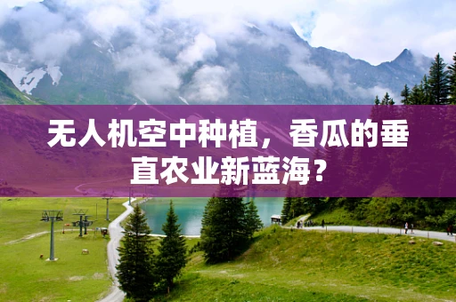 无人机空中种植，香瓜的垂直农业新蓝海？