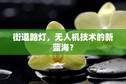 街道路灯，无人机技术的新蓝海？