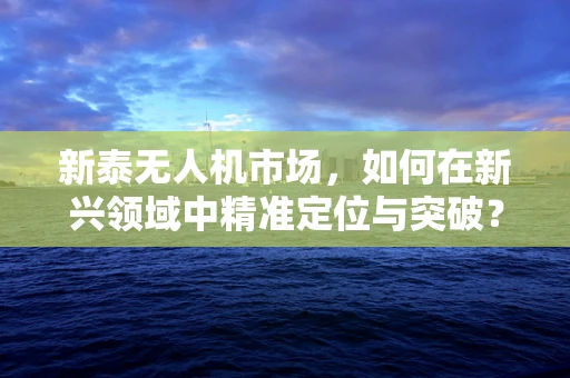 新泰无人机市场，如何在新兴领域中精准定位与突破？