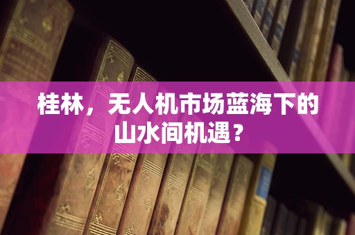 桂林，无人机市场蓝海下的山水间机遇？