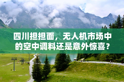四川担担面，无人机市场中的空中调料还是意外惊喜？
