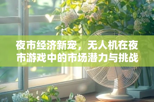 夜市经济新宠，无人机在夜市游戏中的市场潜力与挑战