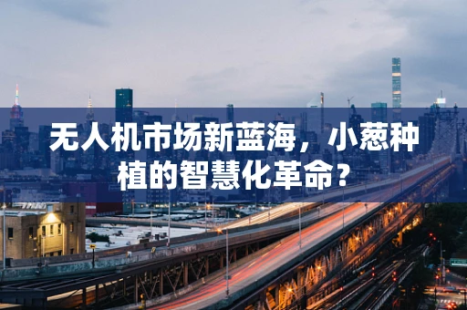 无人机市场新蓝海，小葱种植的智慧化革命？