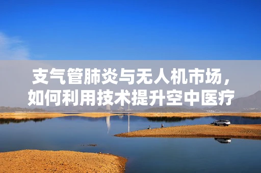 支气管肺炎与无人机市场，如何利用技术提升空中医疗救援效率？